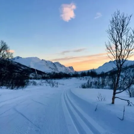 Apartment Modells Aurora With 2 Bedroom Tromso